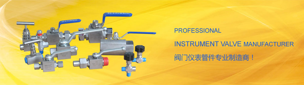 進(jìn)口閥門(mén) 進(jìn)口閥門(mén)